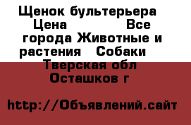 Щенок бультерьера › Цена ­ 35 000 - Все города Животные и растения » Собаки   . Тверская обл.,Осташков г.